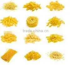 Pasta Extruder Machine thumbnail-3