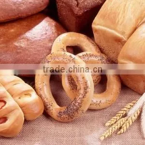 Mini Rotary Oven for Baking Bread and Bread Oven thumbnail-2