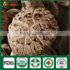 How to Grow Mushroom Shiitake Mushroom Culture Mushroom Plant Growing Kit Log Edible Mushrooms thumbnail-4