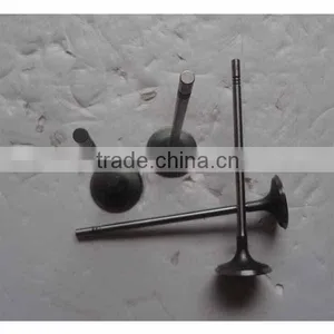 High Quality Chevrolet Cruze Intake Valve 55557862 thumbnail-1