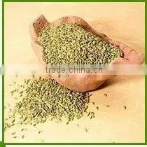 Fennel Seeds thumbnail-1