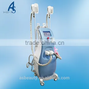 Cryolipolysis Cavitation Rf Lipo Laser Slimming Fat Reduction Machine Fat Freeze Coolsculpting Flabby Skin thumbnail-2