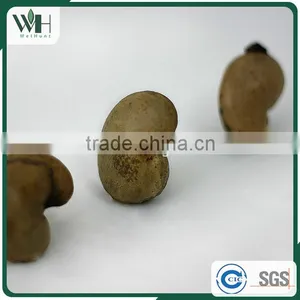 Cambodia Origin Raw Cashew Nuts in Shells thumbnail-4