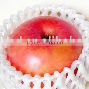 Fresh Apple thumbnail-1