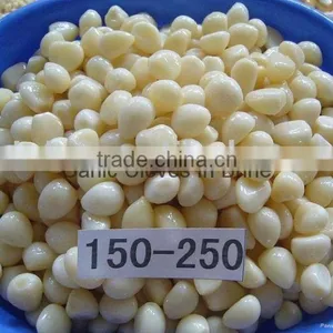 Pickled Garlic thumbnail-1