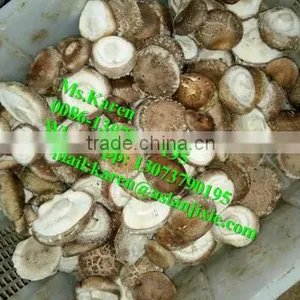 Mushroom Leg and Cap Separator Machine / Mushroom Stem Removal Machine thumbnail-6