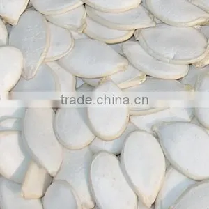 Snow White Pumpkin Seeds thumbnail-1