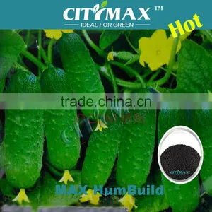 60% Humic Acid For Vegetables Fertilizer thumbnail-1