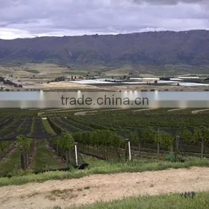 Anti Bird Net for Shrimp Farming thumbnail-5