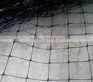 Chegnxiang Plant Support Net thumbnail-1