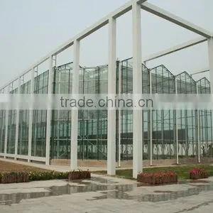 Large Size Multi Span Glass Greenhouse thumbnail-1
