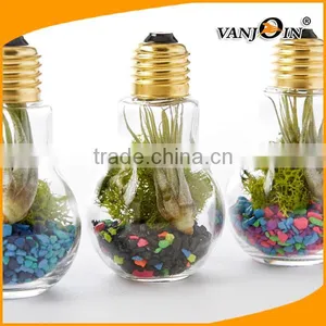 Plastic Light Bulb Terrarium Plants Container With Breath Hole thumbnail-1