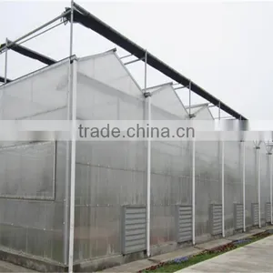 PC Board Covering Large Greenhouse With High Light Transmission thumbnail-1