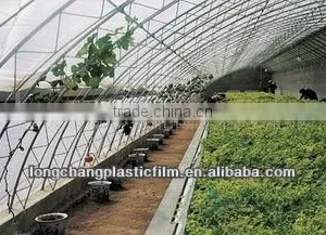 PE Greenhouse Plastic Film thumbnail-1