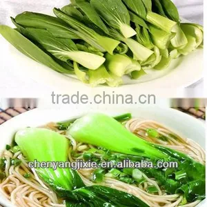 Mini Hot Sell High Quality Automatic Instant Noodle Making Machine thumbnail-4
