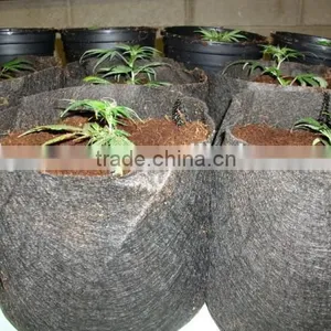 Degradable Pots for Three Nonwoven Plant Grow Bags (1 Gal to 1200 Gal) thumbnail-3