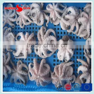 Frozen Baby Otopus IQF Gutted thumbnail-3