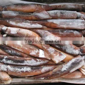 2016 Delicious Fresh Seafood Illex Squid 200g-300g for Market thumbnail-1