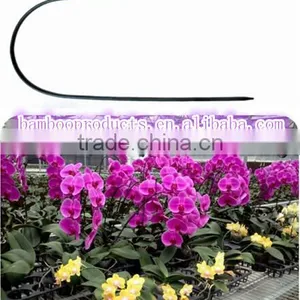 Dark Green U Shape Bamboo Sticks thumbnail-1