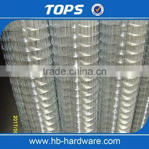 Galvanized Welded Wire Mesh Price thumbnail-4