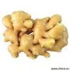 Sell Ginger thumbnail-1