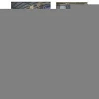 Sell Hulled Sesame Seed Plant thumbnail-1