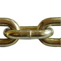 Transport Chain ASTM80/NACM84/90/96 thumbnail-1