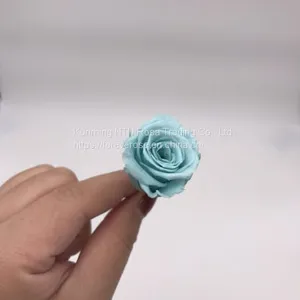 Factory Supply Best Selling Red Preserved Roses at Cheapest Price thumbnail-5