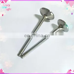 OEM 5KA-E2111-00 5KA-E2121-00 Engine Valve for Yamaha LIBERO 110 thumbnail-1