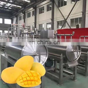 Fruit and Vegetable Processing Mango Puree Production Line thumbnail-3