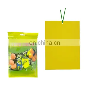 Eco Yellow Sticky Trap Insect Glue Traps for Thrips Flying Aphid Leaf Miners thumbnail-1