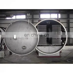 Vacuum Freeze Dryer / Lyophilizer Machine for Industrial Fruit and Vegetables thumbnail-5