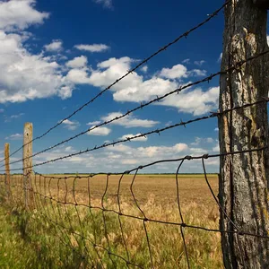 Professional Prison Barbed Wire/Razor Wire/Concertina Blade Wire thumbnail-4