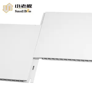 PVC Interlocking Wall and Ceiling Panel for Canada and US Market Agricultural Projects Car Wash Room Cleaning Room Warehouse thumbnail-2