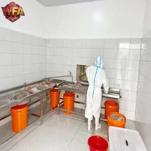 CE Certified Stainless Steel Pig Slaughter LineHigh Capacity for Modern Abattoirs Slaughterhouses thumbnail-3