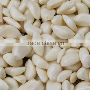 Stainless Steel Garlic Paste Grinding Machine|Large Model Mashed Garlic Making Machine thumbnail-3