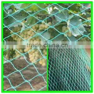 Anti Bird Net for Shrimp Pond Cover/vineyard Bird Mesh thumbnail-2