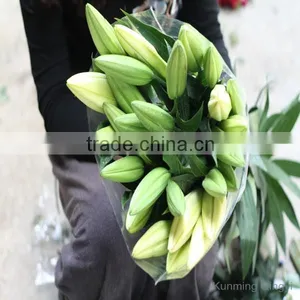 China Supplier High Grade Natural Beautiful Lily Flower thumbnail-5