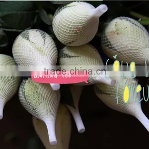 PE Plastic Fresh Flower Bud Packaging Net thumbnail-1