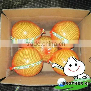 Supply Honey Chinese Pomelo Juicy Good Shape Pomelo thumbnail-1