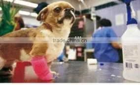 Self-adhesive Elastic Pet Bandage thumbnail-1