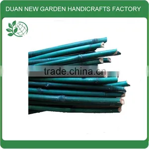 Bamboo Plant Green Color Stakes thumbnail-1