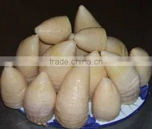 Seasoned Fresh Bamboo Shoots With Tin ,best Price,good Taste,natural Grow thumbnail-5