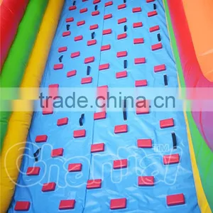 Giant Inflatable Water Slide Decal Paper Ball Bearing Slide for Adult thumbnail-2