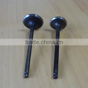 056109601A & 056109611A Engine Valve for Passat thumbnail-5