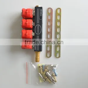 Lpg Ngv Cng Injector Rail for 6cylinder for Fuel Injection thumbnail-1