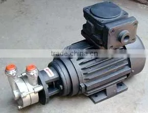 Flameproof Monobloc Pump thumbnail-1