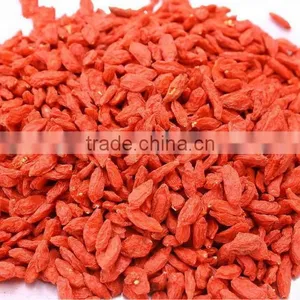 Organic Certificate Dried Goji Berries thumbnail-1