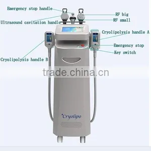 Weight Loss 2015 Hot Sales!! The Cryolipolysis Body Slimming Vacuum Fat Freeze Machine With Good Effects And Professional Engineers 220 / 110V thumbnail-5