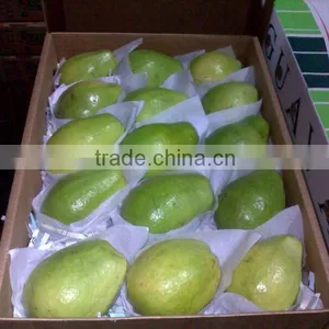 GOOG QUALITY FRESH GUAVA thumbnail-1